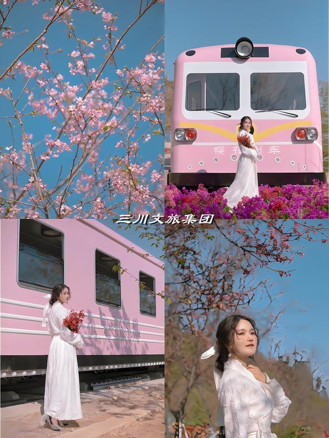 樱花列车生产厂家：河南三川文旅集团的出色表现